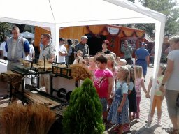 KÖZFOGLALKOZTATOTTAK NAPJÁN