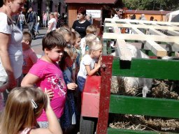 KÖZFOGLALKOZTATOTTAK NAPJÁN