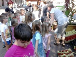 KÖZFOGLALKOZTATOTTAK NAPJÁN