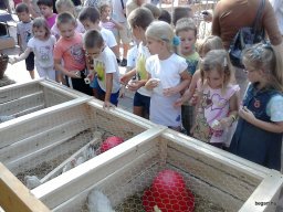 KÖZFOGLALKOZTATOTTAK NAPJÁN