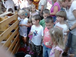 KÖZFOGLALKOZTATOTTAK NAPJÁN