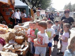 KÖZFOGLALKOZTATOTTAK NAPJÁN