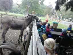 PÓSTELEKI KIRÁNDULÁS