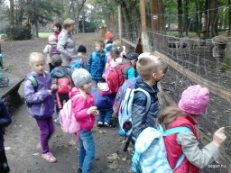 PÓSTELEKI KIRÁNDULÁS