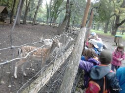 PÓSTELEKI KIRÁNDULÁS