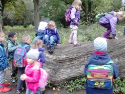 PÓSTELEKI KIRÁNDULÁS