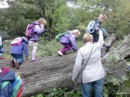 PÓSTELEKI KIRÁNDULÁS