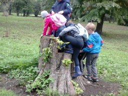 PÓSTELEKI KIRÁNDULÁS