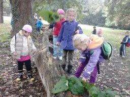 PÓSTELEKI KIRÁNDULÁS