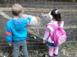 PÓSTELEKI KIRÁNDULÁS