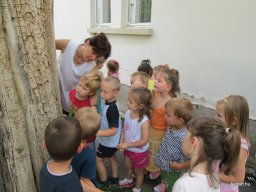 Zengőerdő csoport - KÖZFOGLALKOZTATOTTAK NAPJÁN