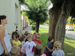 Zengőerdő - KÖZFOGLALKOZTATOTTAK NAPJA