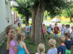 Zengőerdő - KÖZFOGLALKOZTATOTTAK NAPJA