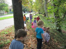 Zengőerdő - KÖZFOGLALKOZTATOTTAK NAPJA