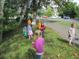 Zengőerdő - KÖZFOGLALKOZTATOTTAK NAPJA