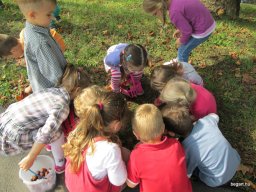 Zengőerdő - KÖZFOGLALKOZTATOTTAK NAPJA