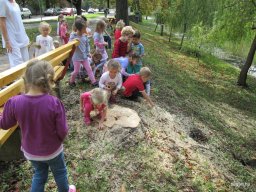 Zengőerdő - KÖZFOGLALKOZTATOTTAK NAPJA