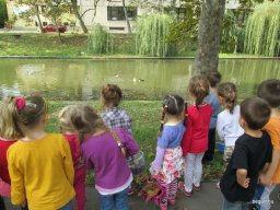 Zengőerdő - KÖZFOGLALKOZTATOTTAK NAPJA