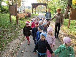 Meserétről a Ligetbe