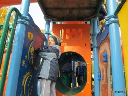 Meserétről a Ligetbe