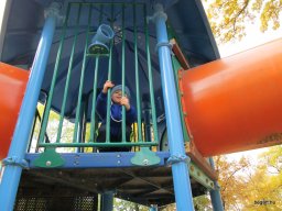 Meserétről a Ligetbe