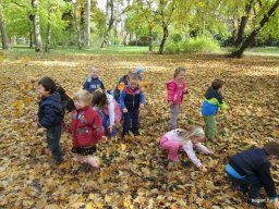 Meserétről a Ligetbe