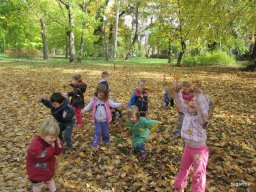 Meserétről a Ligetbe