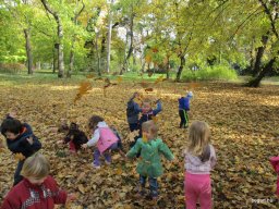 Meserétről a Ligetbe
