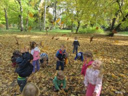 Meserétről a Ligetbe