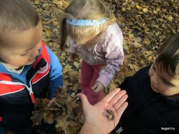 Meserétről a Ligetbe