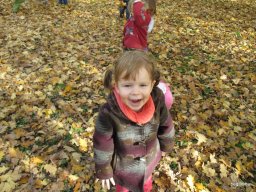 Meserétről a Ligetbe