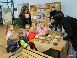 Zöldülj! Fordulj! Zengőerdő!