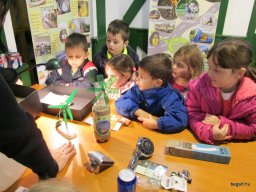 Zöldülj! Fordulj! Zengőerdő!