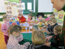 Zöldülj! Fordulj! Zengőerdő!