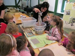 Zöldülj! Fordulj! Zengőerdő!