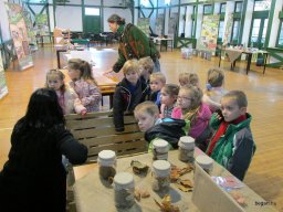 Zöldülj! Fordulj! Zengőerdő!