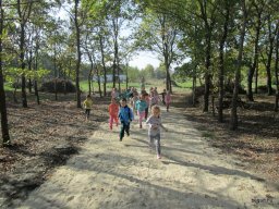 Október a Zengőerdőben