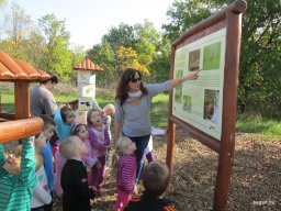 Október a Zengőerdőben