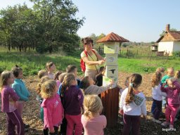 Október a Zengőerdőben