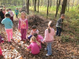 Október a Zengőerdőben