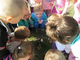 Október a Zengőerdőben