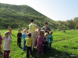 Október a Zengőerdőben