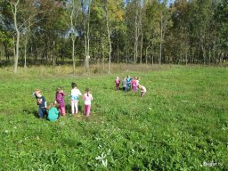 Október a Zengőerdőben