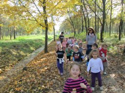 Október a Zengőerdőben