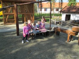 Október a Zengőerdőben