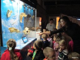 Október a Zengőerdőben