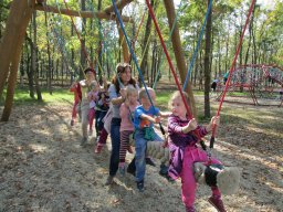 Október a Zengőerdőben