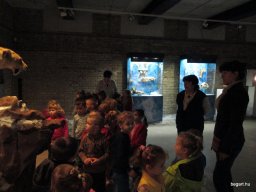 Október a Zengőerdőben