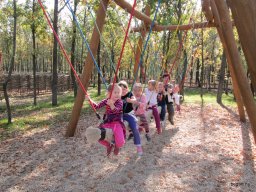 Október a Zengőerdőben