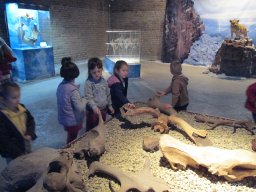 Október a Zengőerdőben